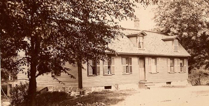 Wild or White Tavern